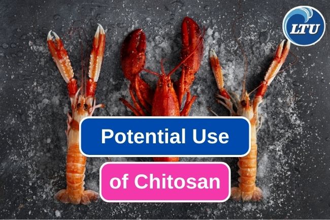 Here Are The Potential Uses Of Chitosan In Biomedical Field